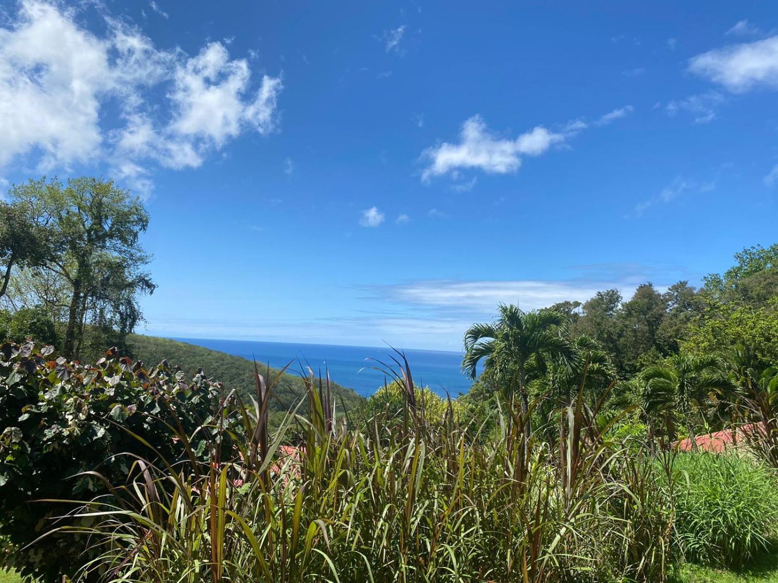 Le Domaine Du Rocher Noir Pointe-Noire Exteriör bild